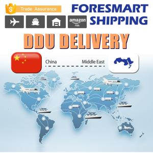 Wholesale Door To Door China To Middle East DDU Air Freight from china suppliers