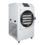 Strawberry Blueberry Fruit Freeze Drying Dryer Machine Fruit Vegetables Meat