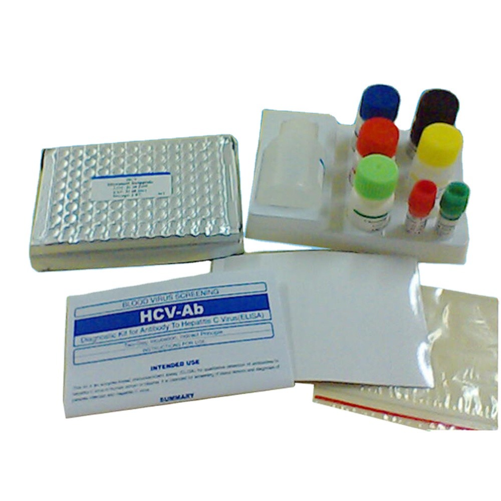 Wholesale Biochemical HCV Elisa Detection Kit Human 96T Elisa Assay Kit from china suppliers