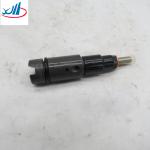 Sinotruk Howo Parts Cars And Trucks Vehicle C3975928 Car Fuel Injector 3975928