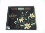 backlight display 6mm tempered glass Travel Weighing Scales