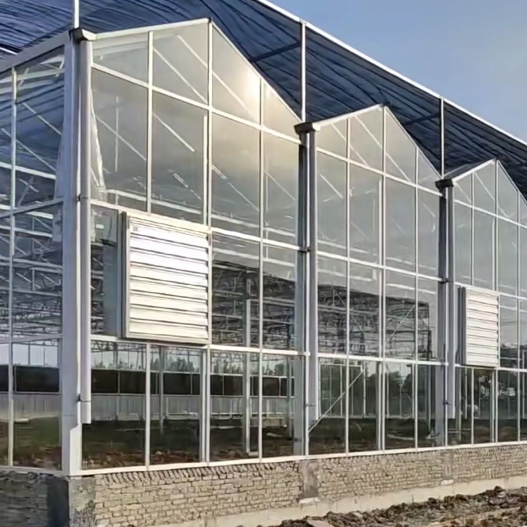 Drip Irrigation Glass Greenhouse for Plants