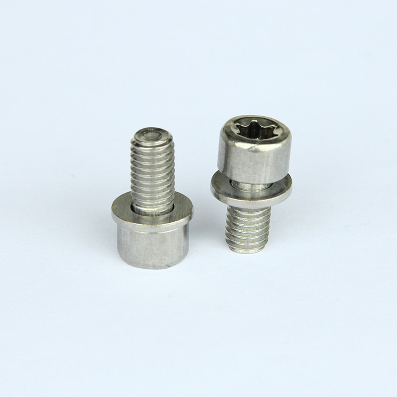 Stainless Steel Torx Machine Screw