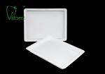 20.6x15.5cm Small Plastic Disposable Instrument Tray
