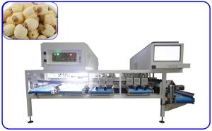 Wholesale AI Lotus Seeds Sorting Equipment 12 Channel 50Hz Optical Sorter Machine from china suppliers