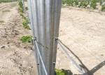 2.5mm Thickness Galvanised Steel Vineyard Posts / Metal Grape Stakes 0.45m -3.0m