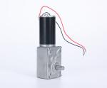 Faradyi Factory Price Double Shaft High Torque 12V 24V Carbon Brush Brushless