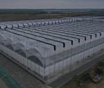 30-Day Return Guarantee Anti-Drip Fogging Double-Film Greenhouse Structure jx-fg