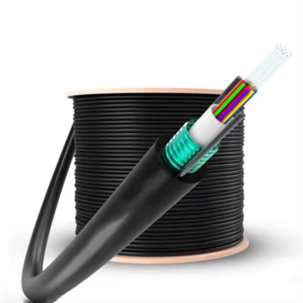 China Factory 12 Core Single Mode Fibre Optic Cable Armoured GYXTW Outdoor