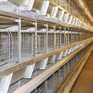 Wholesale Durable Automatic Chicken Feeding Equipment, Chicken Battery Hen Cage With Drinking System from china suppliers