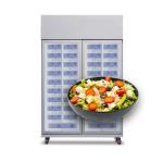 Sushi, Sandwich, egg, salad fruit apple launch box cooling locker vending