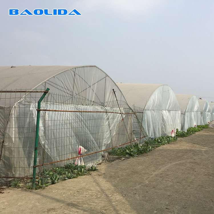 Tropical Plastic Film Cross Top Sawtooth Greenhouse Single Span Tunnel Plastic Greenhouse