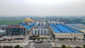Wholesale 1500TPD Edible Crude Oil Extraction Equipment Fully Automatic from china suppliers