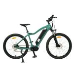 36V 9.6Ah Removable Battery 750W Brushless Motor 8 Speed Fat Tire E Bike for