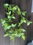 Artificial plants