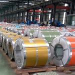 Zinc Coated Steel Coil PPGI Finish Direct Dx51D Z275 Construction Materials at