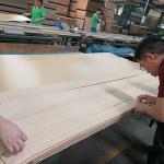 High-End Recon Wood Veneer Green Wenge G.WG-X5333 Straight Grain Green Color For