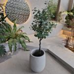 Create a Beautiful Garden with Fiberglass Flower Pots Durable and Lightweight