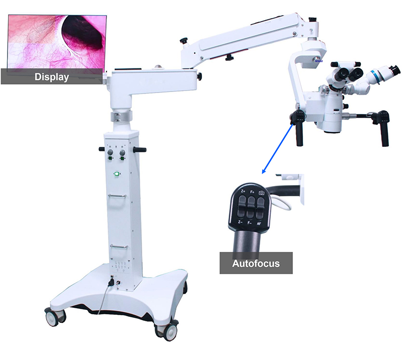 Dual Head Neurosurgery Brain Surgery ENT Operating Microscope