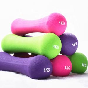Wholesale Multifunctional 0.75KG Bone Shaped Dumbbells Gym Professional Equipment from china suppliers