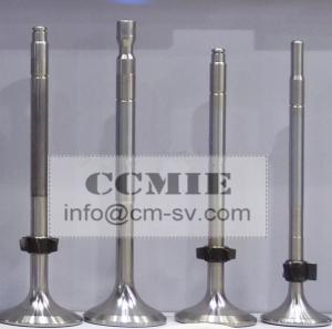Wholesale Weichai Marine Diesel Engine Parts Intake Valve OEM / Weichai Spare Parts from china suppliers