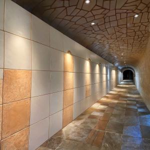 Wholesale Protective Decorative Vitreous Enamel Panel For Structural Facades from china suppliers