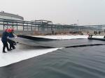 1mm 2mm HDPE Geomembranas for Landfill Dam Construction in Black White Blue or