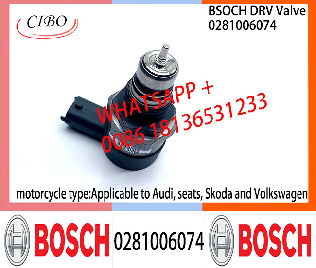 BOSCH DRV Valve 0281006074 0281006075 Control Valve 0281006074 0281006075 Applicable to Volkswagen Audi