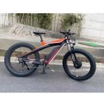 ES750 26 Inch 48V 750W Carbon Fiber Mountain Electric Bicycle for Outdoor