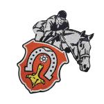 PMS Colors 100 Embroidered Sports Team Patches Sew On Backing