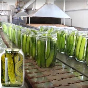 Wholesale High Efficiency Canned Vegetable Production Line For Cucumber from china suppliers