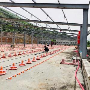 Wholesale Dia 45mm Poultry Farming Machine Galvanized Steel For Broilers Products from china suppliers