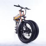 21 Speed Off Road Ebike , Snow Electric Mountain Bicycles Fat Tire 26 Inch