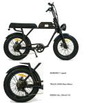 Max Load 120 KGS 2024 Adult Fat Wheel Full Suspension Electric Bike MT01 Retro