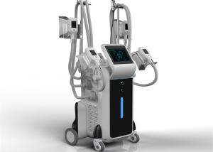 Wholesale factory directly offer best body slimming fat removal cryolipolysis fat freezing machine for abdomen removal from china suppliers