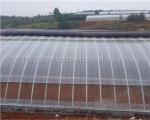 Film Cover Passive Solar Greenhouse for Sustainable Flower and Vegetable