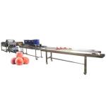 Hot selling Factory Direct Sales Conveyor Belt Vegetable Washer by Huafood