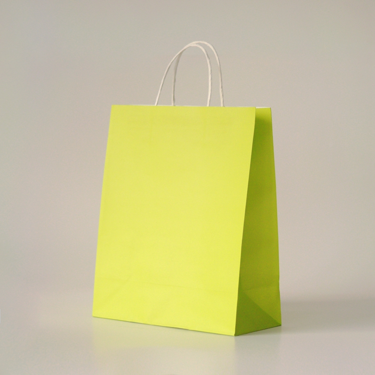 Retail Multi Colored Kraft Paper Shopping Bags with Folding Style and Custom Pattern