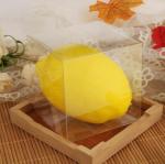 Transparent Eco Friendly Plastic Packaging Box 0.18-0.5mm Waterproof