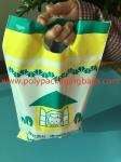 W14 X L28cm Die Cut Handle Bags / Hand Hole Shopping Plastic Travel Bags