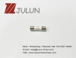 600V 500V 5x20mm Time Delay Ceramic Tube Fuses