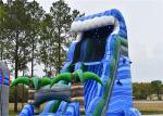 Professional Party Water Slide Jumper Fun Pool Side Popular Safe Ended Durable
