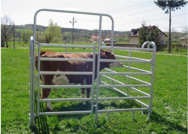 Light Weight Cattle Corral Panels Animal Fence Panels Round / Square / Oval Tube