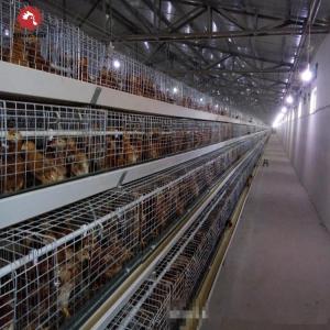 Wholesale SONCAP Poultry Broiler Chicken Cage Equipment Coop For Layer from china suppliers