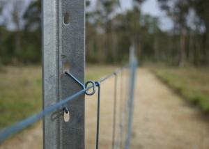 Wholesale OHSAS 18001 2007 Farm Star Picket Fence Posts from china suppliers