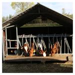 1.2m/Cow Cow Head Lock