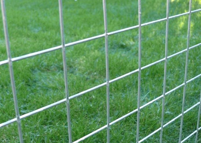 Galvanized Farm Welded Wire Mesh Low Carbon Steel Q195