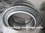 INA SL045013PP Cylindrical Roller Bearing with Double Row,65mm*100mm*46mm