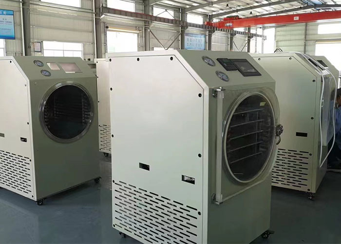 4Kg 6Kg Home Stay Fresh Freeze Dryer Electric Heating