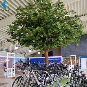 Wholesale Looks Real Chinese Parasol Tree Large Size For Christmas Decor 6m Height from china suppliers